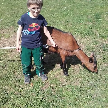 Lägenhet Bauernhof Feurstein Andelsbuch
