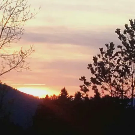 Appartement Bauernhof Feurstein Andelsbuch