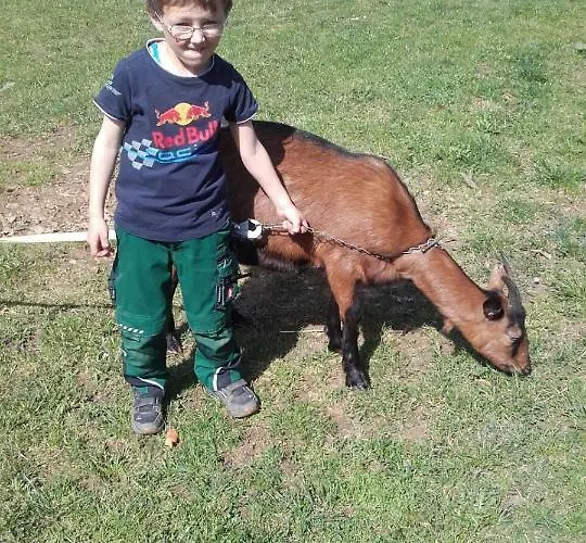 Apartment Bauernhof Feurstein Andelsbuch